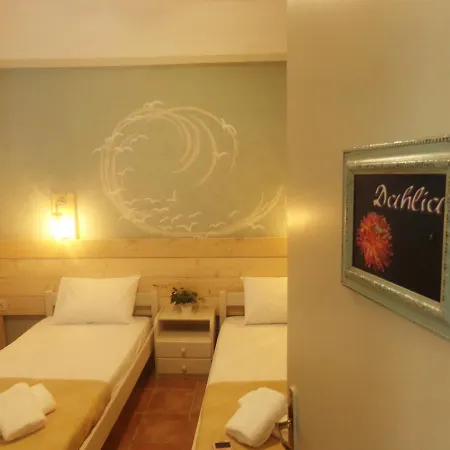 招待所 Leia 埃尔莫波利斯